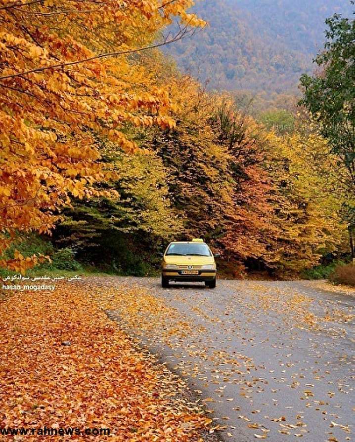جاده ی زیبای پاییزی علی آباد کتول استان گلستان