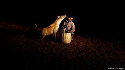 کفتارها وقتی در پی شکار باشند، به انسان هم رحم نمی‌کنند. در هرار اما برخی از انسان‌ها ترسی از کفتارها ندارند و به دنبال اهلی کردن آنان بر می‌آیند؛ مثل عباس یوسف که این پیشه را از پدرش به ارث برده است. او هر شب با سبدی از ته‌مانده‌های گوشت‌ به سراغ کفتارها می‌رود، به آنها غذا می‌دهد و با آنها بازی می‌کند. ترس از کفتار جایی در زندگی عباس ندارد.
